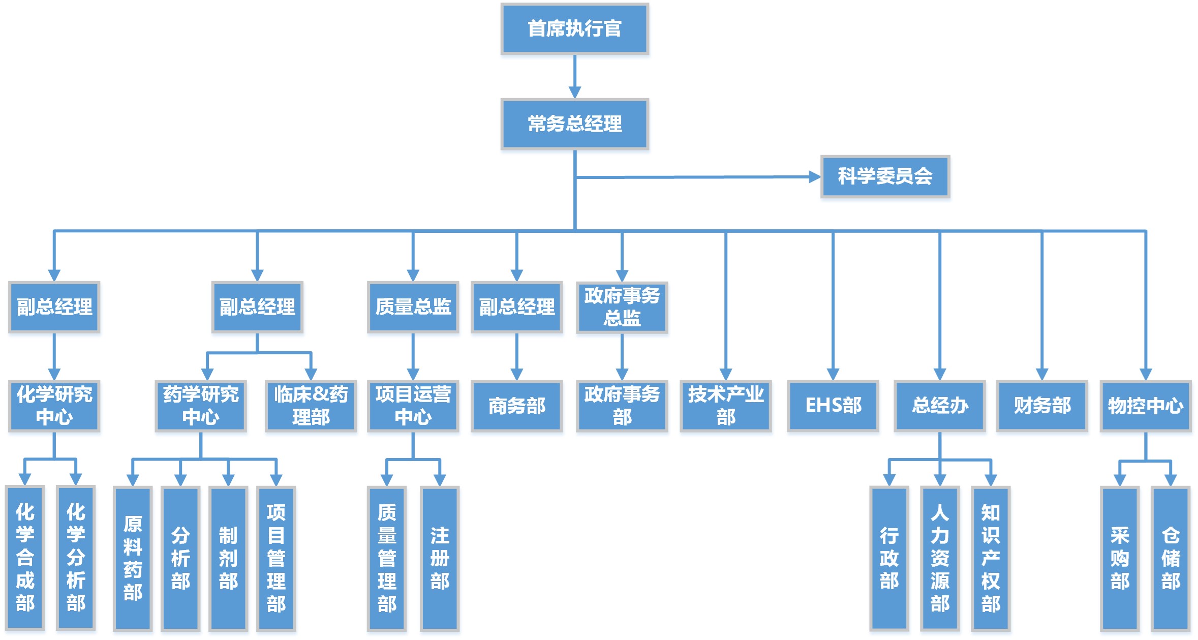 组织架构图.jpg